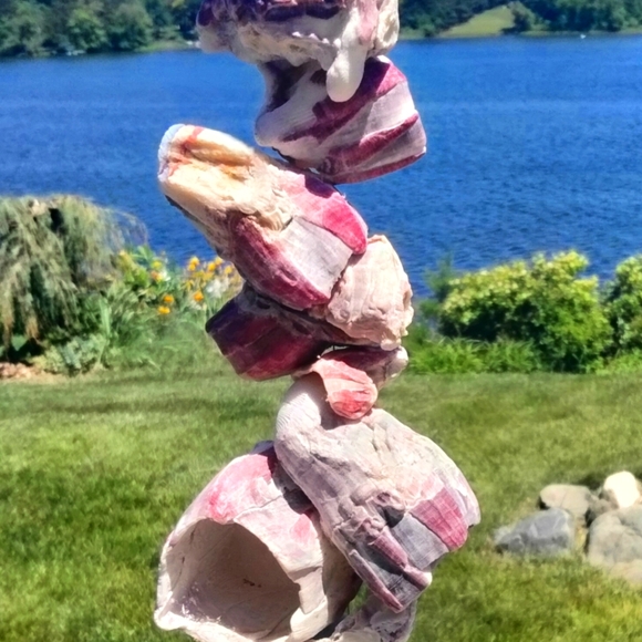 Shell decor Barnacle cluster art. Beach art - Picture 14 of 15